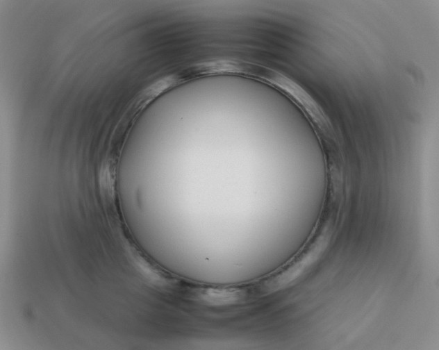 X0000113760857200910141047