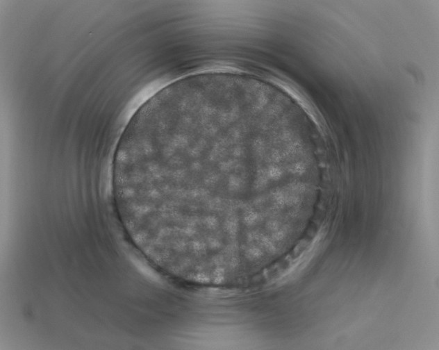 X0000113760858200910141047