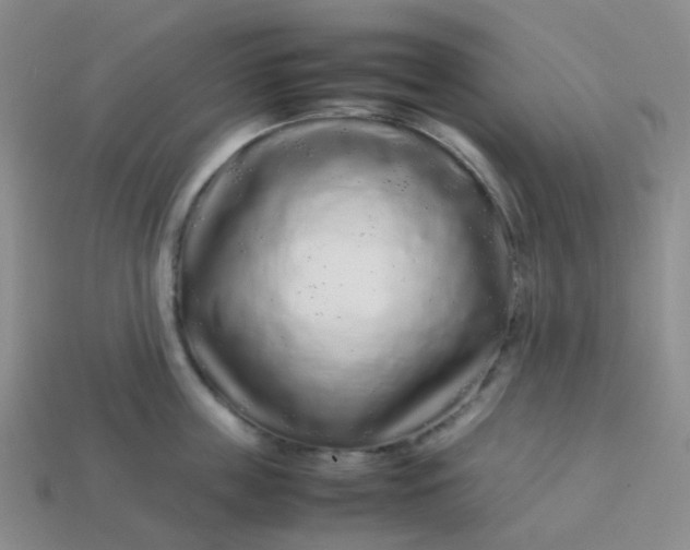 X0000113760859200910141047