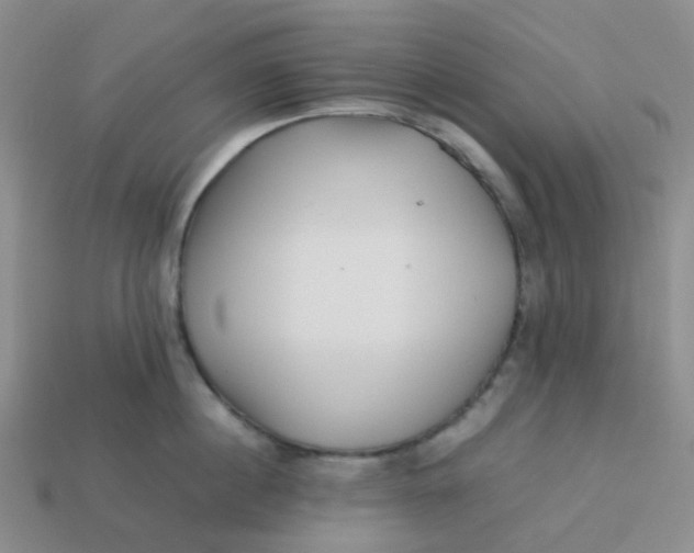 X0000113760860200910141047