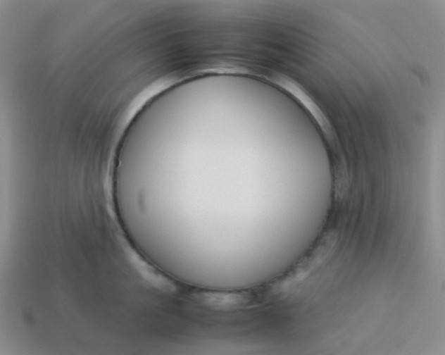 X0000113760861200910141047