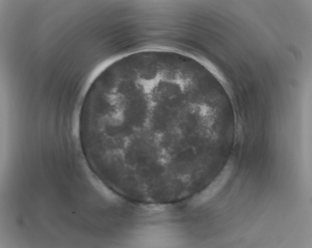 X0000113760862200910141047