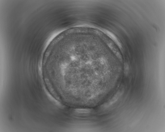 X0000113760863200910141047