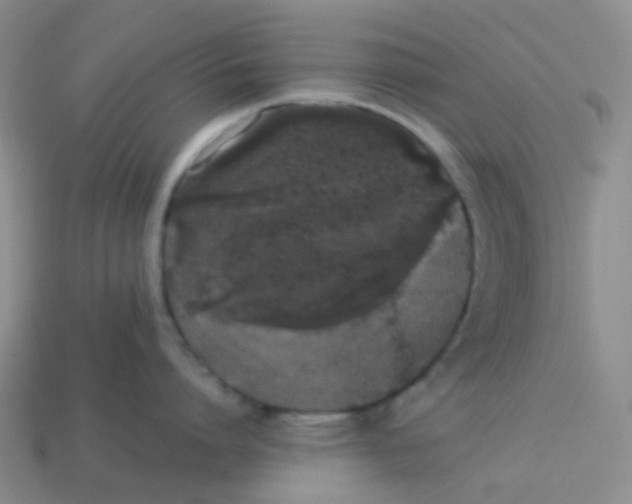 X0000113760864200910141047