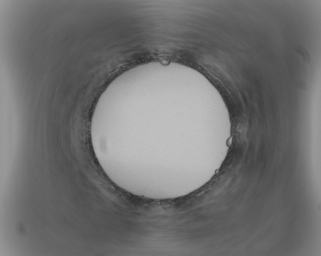 X0000113760865200910141046