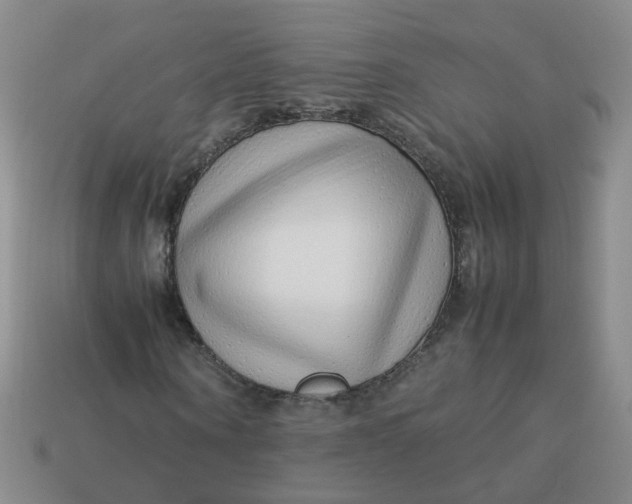 X0000113760866200910141046