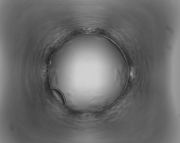 X0000113760867200910141046