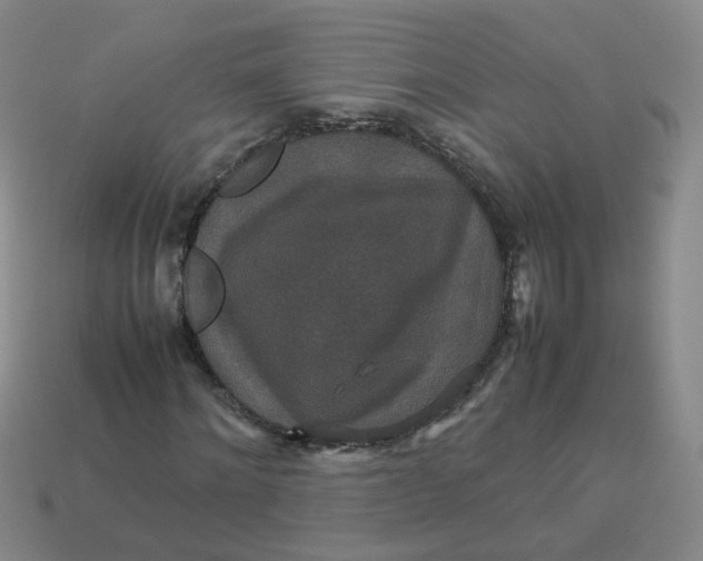 X0000113760868200910141046