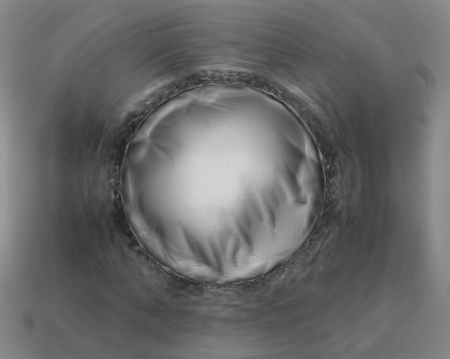 X0000113760870200910141046