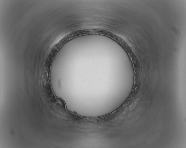 X0000113760871200910141046