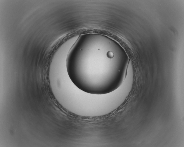 X0000113760872200910141046