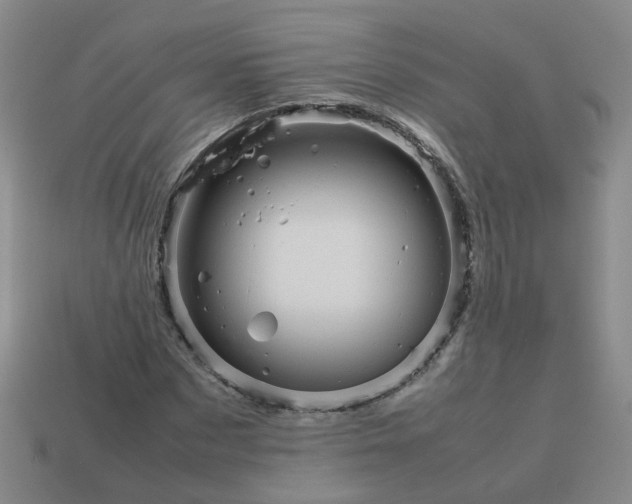 X0000113760873200910141046