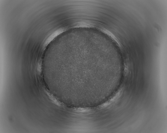 X0000113760874200910141046