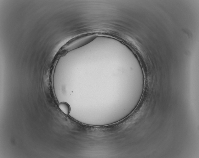 X0000113760875200910141046