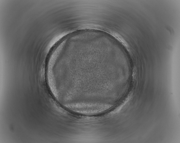 X0000113760877200910141046