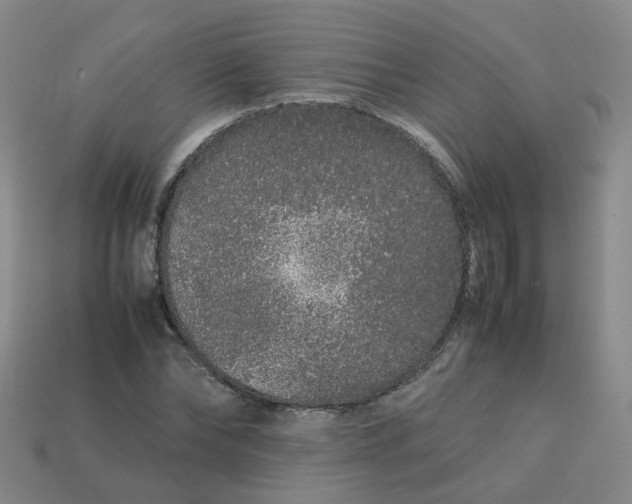 X0000113760878200910141046