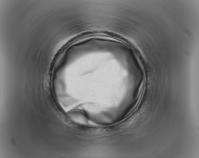 X0000113760879200910141046