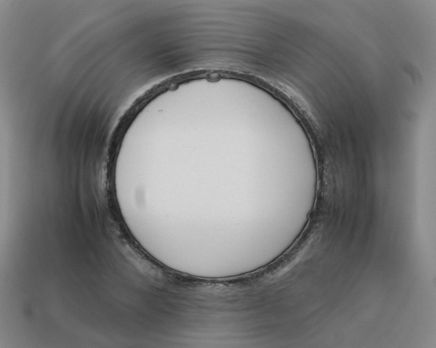 X0000113760880200910141046