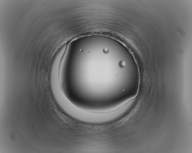 X0000113760881200910141046