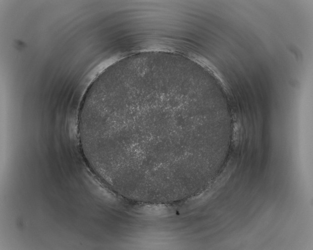 X0000113760882200910141046