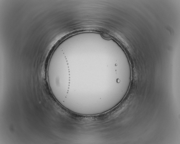 X0000113760883200910141046