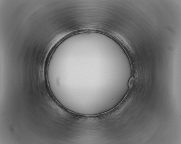 X0000113760884200910141046