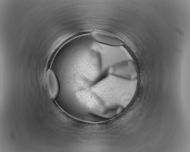 X0000113760885200910141046