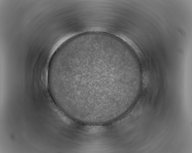 X0000113760886200910141046