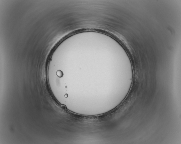 X0000113760887200910141046