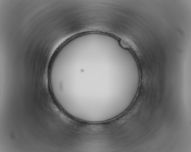 X0000113760888200910141046