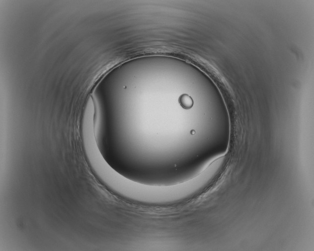 X0000113760889200910141046