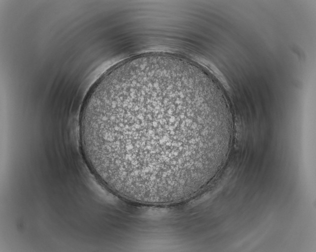 X0000113760890200910141046