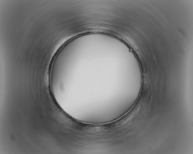 X0000113760891200910141046