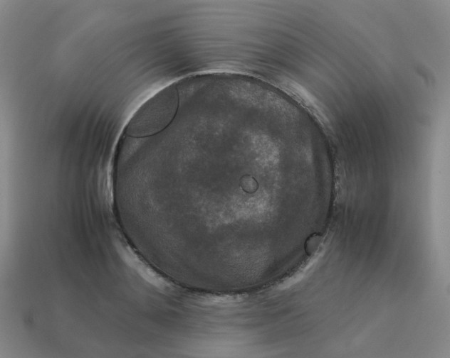 X0000113760892200910141046