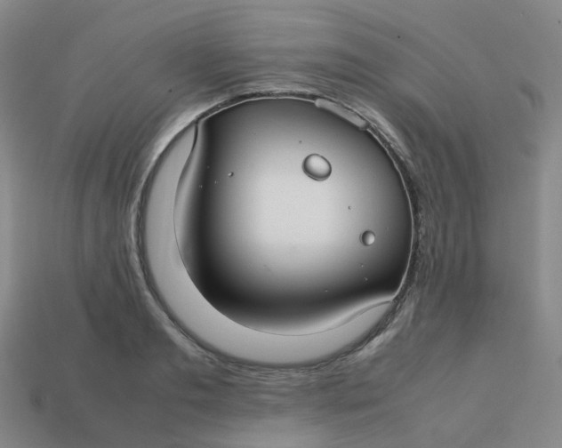 X0000113760893200910141046