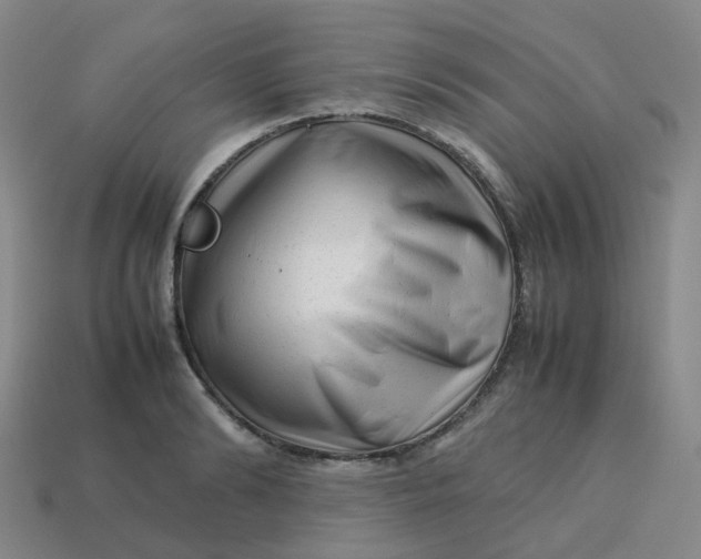 X0000113760894200910141046