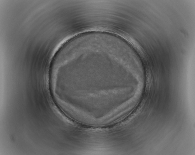 X0000113760896200910141046