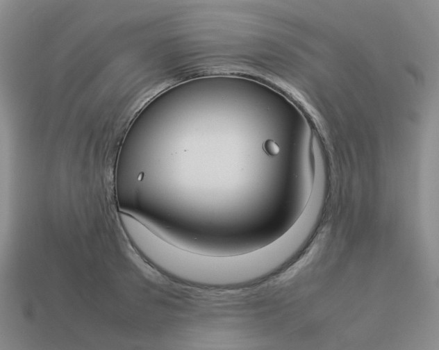 X0000113760897200910141046