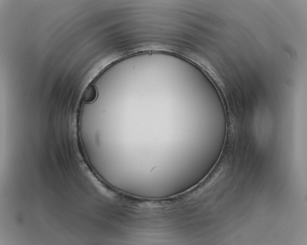 X0000113760898200910141046