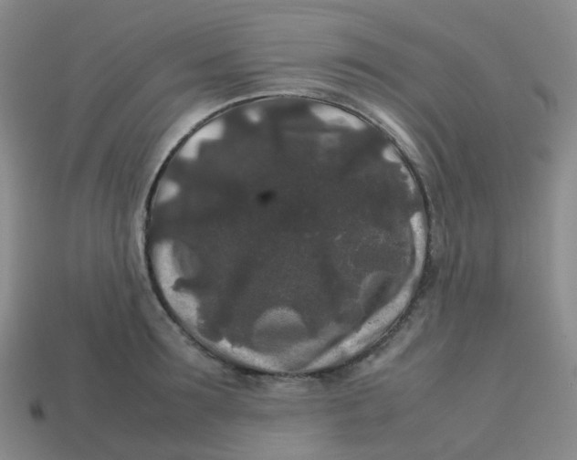 X0000113760899200910141046