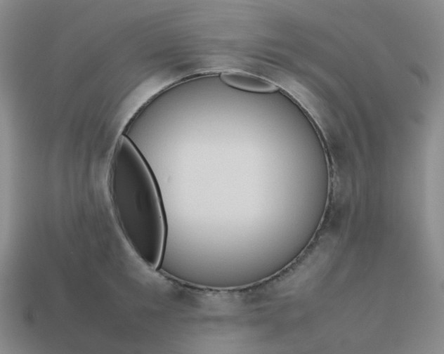 X0000113760901200910141046