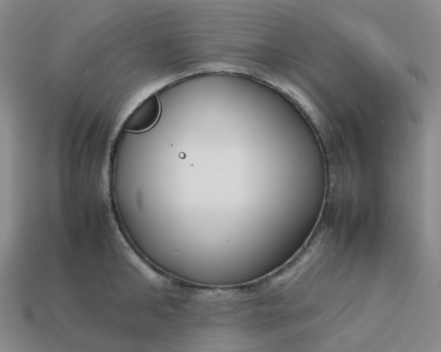 X0000113760902200910141046