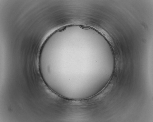 X0000113760904200910141046