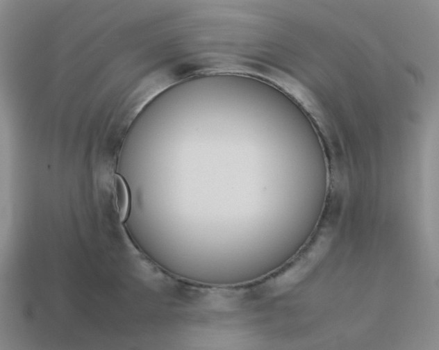 X0000113760905200910141046