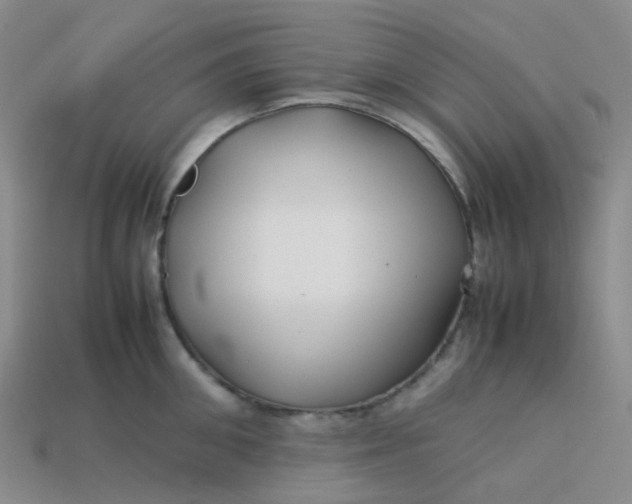 X0000113760906200910141046