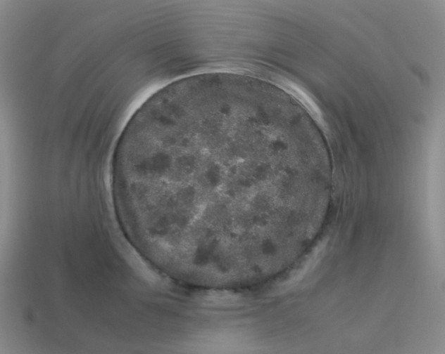 X0000113760907200910141046