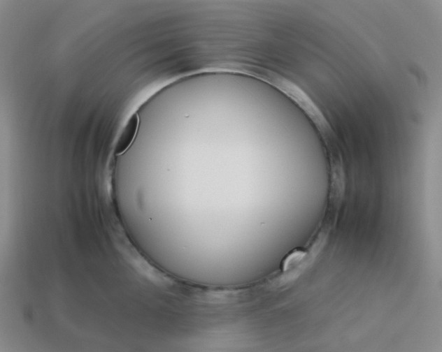 X0000113760908200910141046