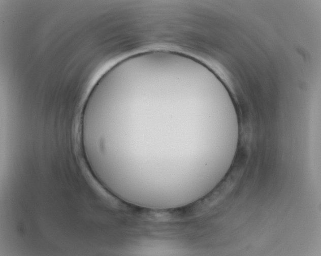 X0000113760911200910141045