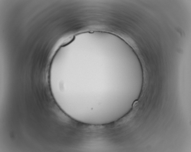 X0000113760912200910141045