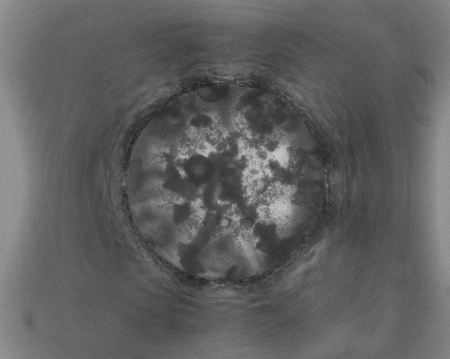 X0000113760913200910141045